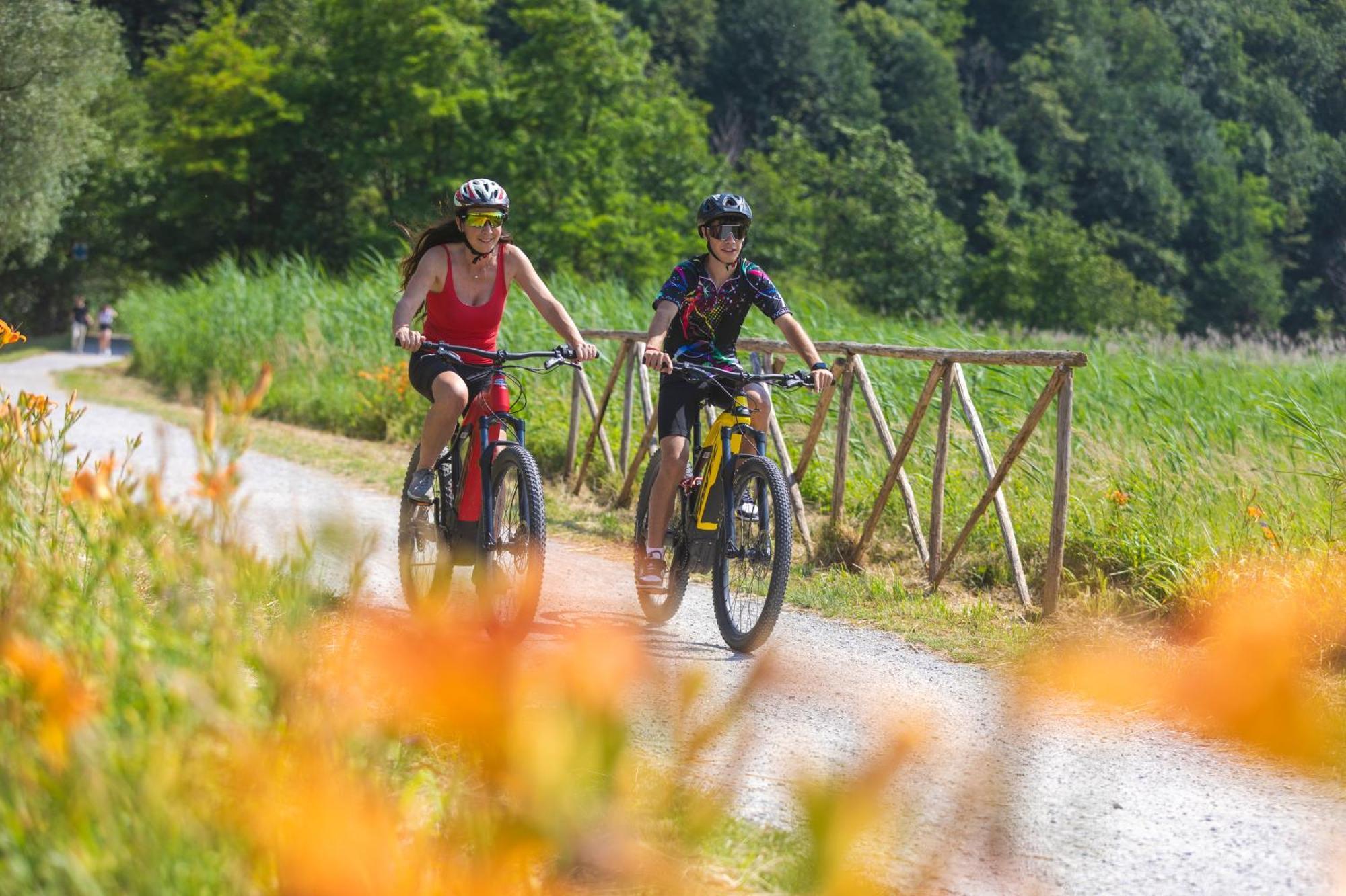 I Laghee Casette Breva E Tivano -Garden-Parking-Lake View - Bike Friendly Holiday House Колико Экстерьер фото